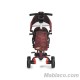 Triciclo Evolutivo con capota Argon +18 m Rojo
