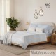 Juego de Sábanas Nilo Gris 100% Algodón Serena Cotton Luxe